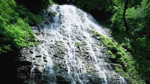 高效电子